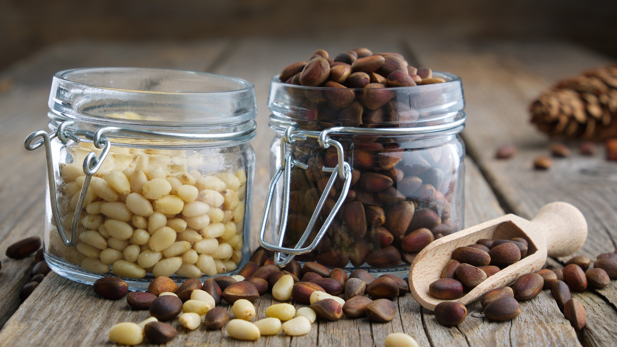 Can You Eat Nuts in a Bottle Every Day? Health Benefits and Risks